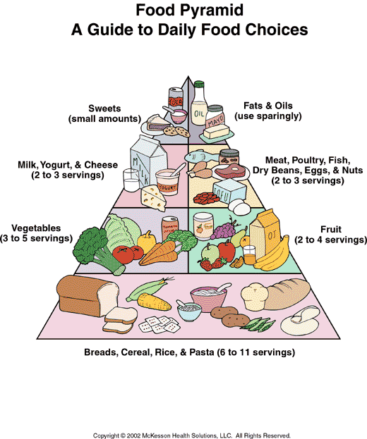 Food Pyramid: Illustration