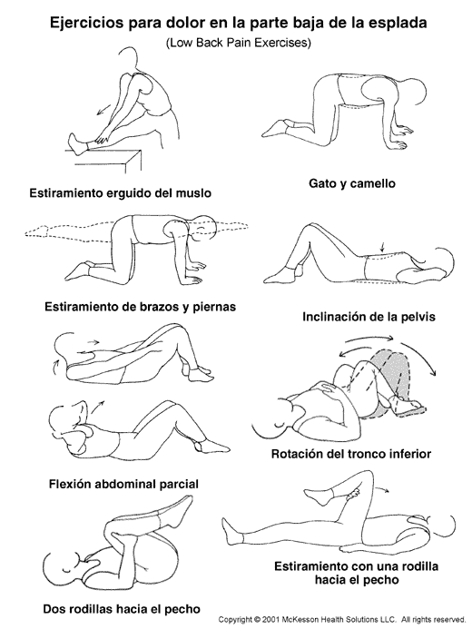 Sports Medicine Advisor Ejercicios para dolor en la parte baja de la espalda ilustración