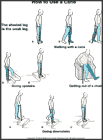 Thumbnail image of: How to Use a Cane: Illustration