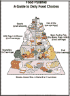 Thumbnail image of: Food Pyramid: Illustration