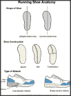 Thumbnail image of: Running Shoe Anatomy: Illustration