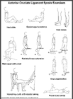 Thumbnail image of: Anterior Cruciate Ligament Sprain (ACL) Exercises: Illustration