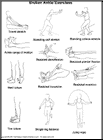 Thumbnail image of: Broken Ankle Exercises:  Illustration