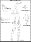 Thumbnail image of: Calf Strain Exercises:  Illustration