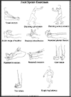 Thumbnail image of: Foot Sprain Exercises:  Illustration