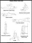 Thumbnail image of: Gluteal Strain Exercises:  Illustration