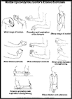 Thumbnail image of: Medial Epicondylitis (Golfer's Elbow) Exercises:  Illustration