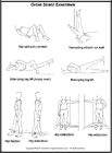 Thumbnail image of: Groin Strain Exercises:  Illustration