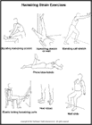 Thumbnail image of: Hamstring Strain Exercises:  Illustration