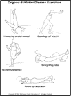 Thumbnail image of: Osgood-Schlatter Disease Exercises:  Illustration