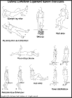 Thumbnail image of: Lateral Collateral Ligament Sprain Exercises:  Illustration