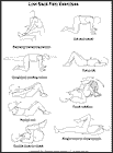 Thumbnail image of: Low Back Pain Exercises:  Illustration