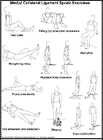 Thumbnail image of: Medial Collateral Ligament Sprain Exercises:  Illustration