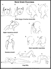 Thumbnail image of: Neck Strain Exercises:  Illustration