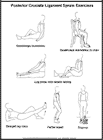 Thumbnail image of: Posterior Cruciate Ligament Sprain Exercises:  Illustration