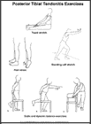 Thumbnail image of: Posterior Tibial Tendonitis Exercises:  Illustration