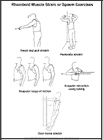 Thumbnail image of: Rhomboid Muscle Strain or Spasm Exercises:  Illustration