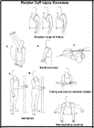 Thumbnail image of: Rotator Cuff Injury Exercises: Illustration