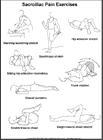 Thumbnail image of: Sacroiliac Pain Rehabilitation Exercises: Illustration