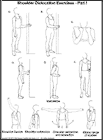 Thumbnail image of: Dislocated Shoulder Exercises, Part I:  Illustration