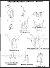 Thumbnail image of: Shoulder Separation Exercises - Phase I:  Illustration