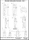 Thumbnail image of: Shoulder Subluxation Exercises, Part I:  Illustration