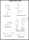 Thumbnail image of: Snapping Hip Exercises:  Illustration