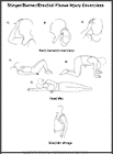 Thumbnail image of: Brachial Plexus Injury (Stinger/Burner) Exercises:  Illustration