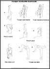 Thumbnail image of: Triceps Tendonitis Exercises:  Illustration