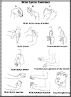 Thumbnail image of: Wrist Sprain Exercises:  Illustration