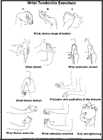 Thumbnail image of: Wrist Tendonitis Exercises:  Illustration