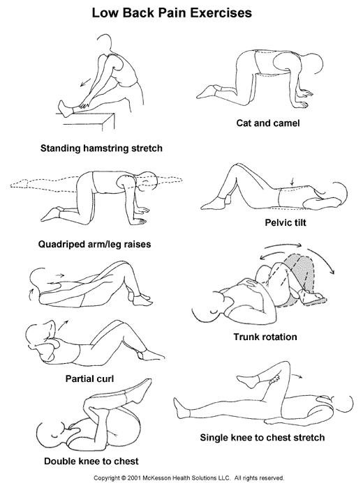 Low Back Pain Exercises:  Illustration