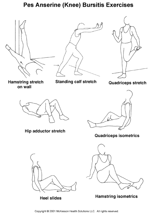 Pes Anserine (Knee) Bursitis Exercises:  Illustration