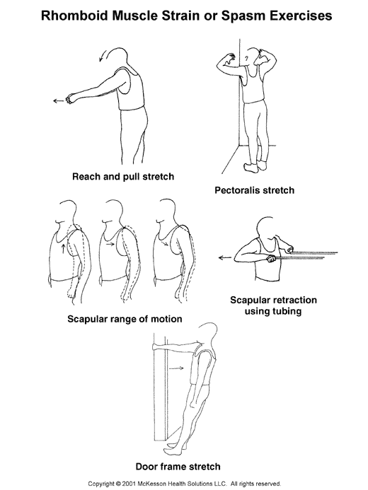 Rhomboid Muscle Strain or Spasm Exercises:  Illustration